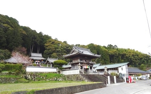 花遍路2019　22番平等寺～民泊パンダ屋_f0213825_12140111.jpg