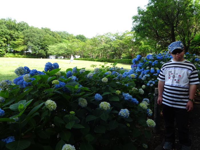 相模原公園散歩 Takeo タケオ 新倉壮朗の世界 相模原公園散歩 Takeo タケオ 新倉壮朗の世界