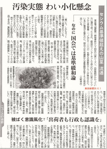 セシウム基準値超えの山菜流通　なのに国会では基準緩和論　/  東京新聞_b0242956_19365527.jpg