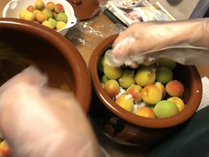 幸せは身近にあります_b0100062_18101568.jpeg