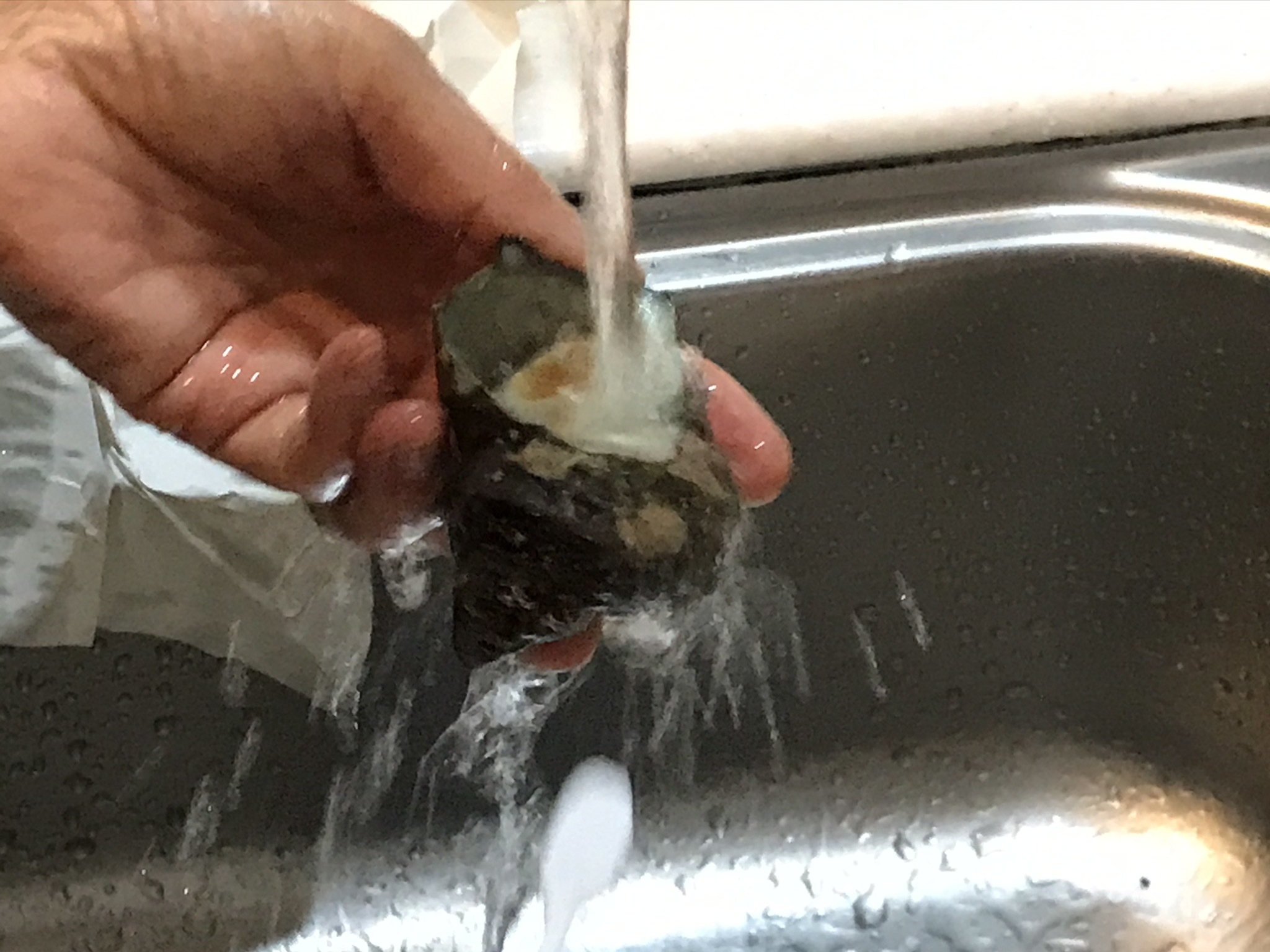 幸せは身近にあります_b0100062_18150313.jpeg