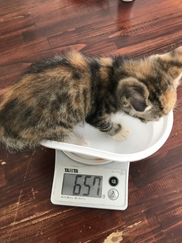 Let’s play!_c0153966_21083837.jpeg