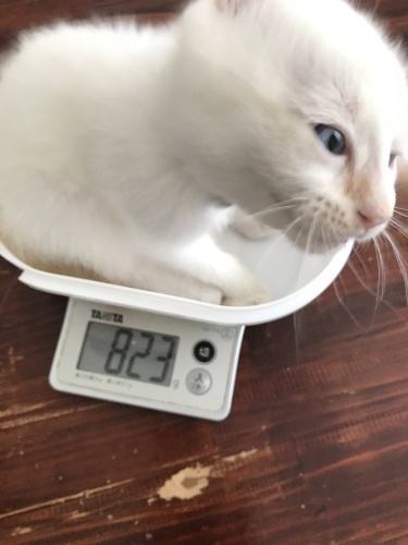 Let’s play!_c0153966_21092817.jpeg