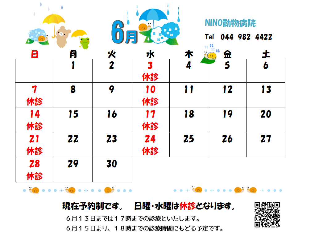 6月の診療日のお知らせ☆_e0288670_16074441.png