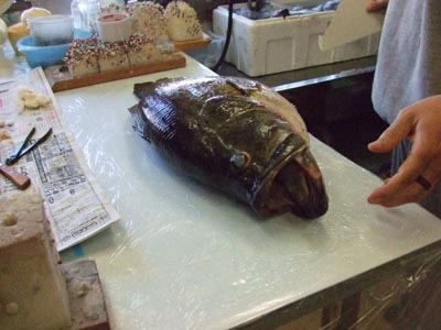 日本記録解体ショー_c0404676_16350869.jpg