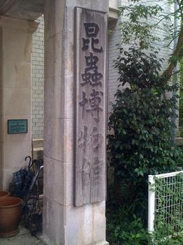 名和昆虫博物館_c0404676_18351118.jpg