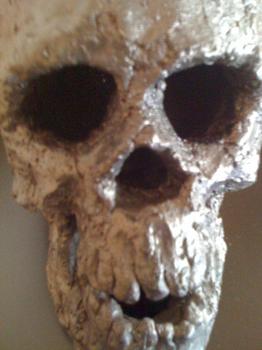 SKULL ART KEN KATO_c0404676_19550360.jpg