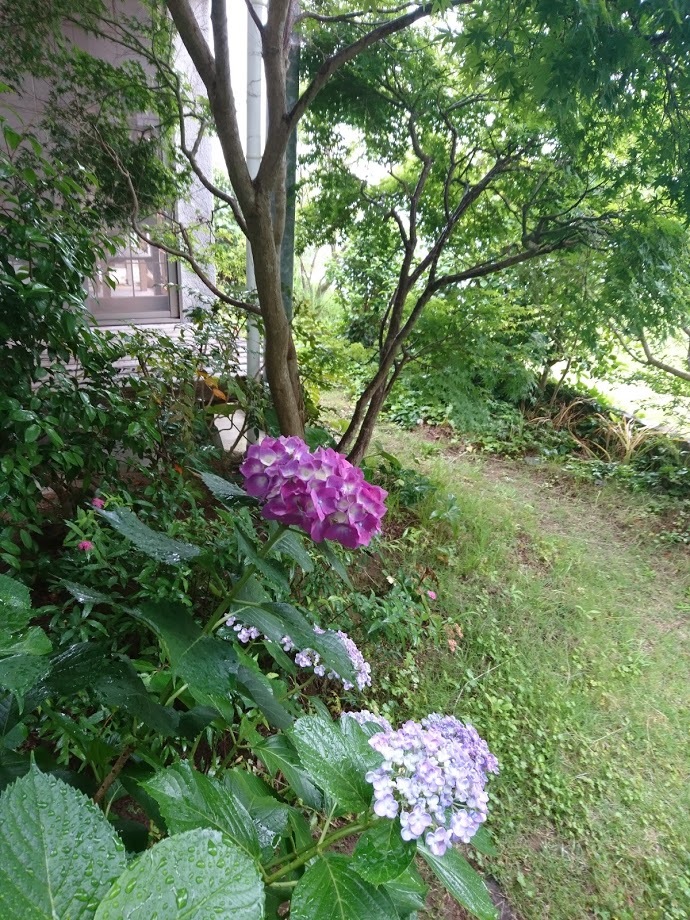ドタバタの毎日だけど、前進してる_f0197985_18511896.jpg