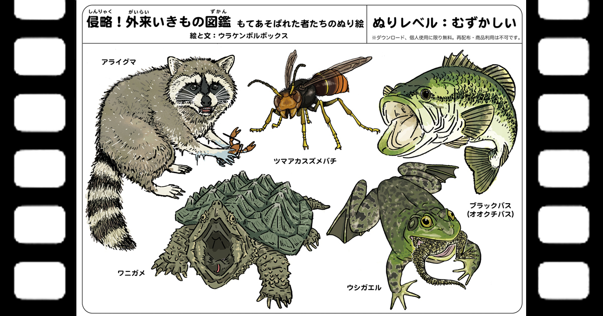外来いきもの図鑑 もてあそばれた者たちの塗り絵 ウラケン ボルボックス