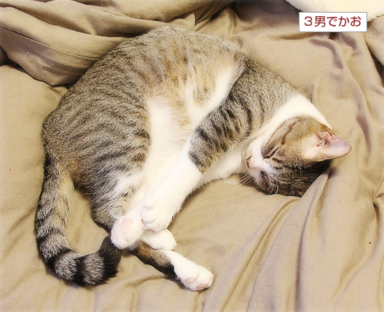 野生の頭の中_a0389088_05312860.jpg
