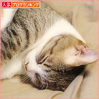野生の頭の中_a0389088_05312966.jpg