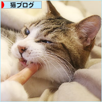 野生の頭の中_a0389088_05312996.jpg