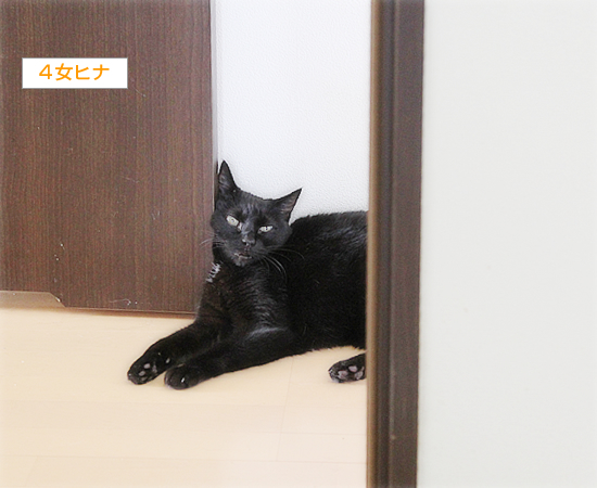 口がＡ_a0389088_15021770.jpg