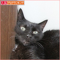 口がＡ_a0389088_15021851.jpg