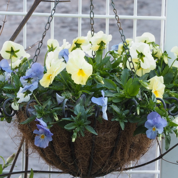 レア⭐︎ディズニー ⭐︎バンビ⭐︎フラワー⭐︎ウォーターファウンテン 今年絶対欲しいビオパン②♪＊ファルファリア＊ヌーヴェルバーグ＊大