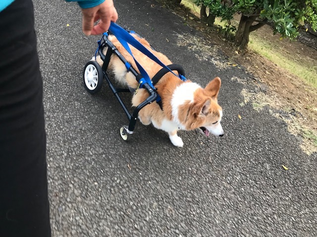 いよいよ明日です。_f0242002_22284667.jpg