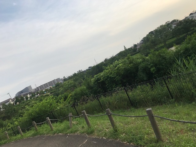 いよいよ明日です。_f0242002_22374931.jpg
