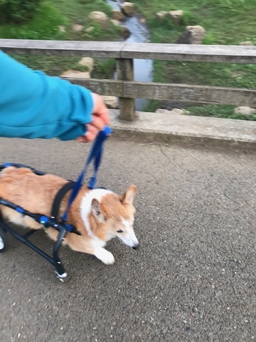 いよいよ明日です。_f0242002_22504160.jpg