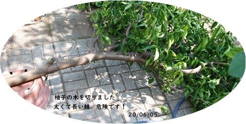 6月・・・_c0051105_15065881.jpg