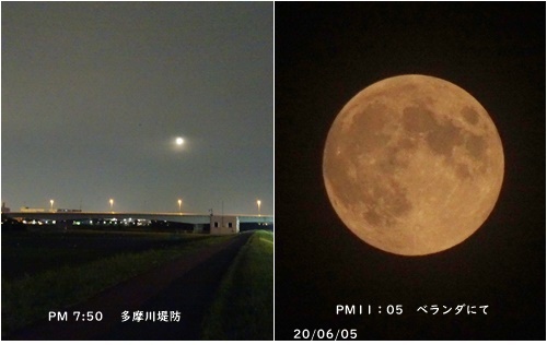 6月・・・_c0051105_23360416.jpg