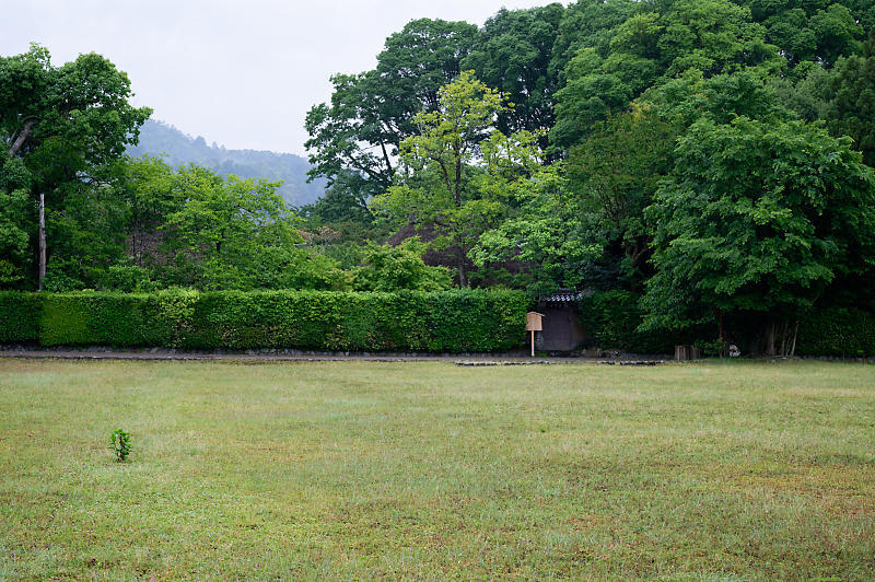 雨の日の愛宕街道寸景_f0032011_18371033.jpg