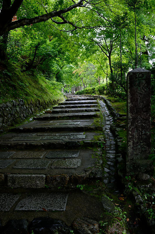 雨の日の愛宕街道寸景_f0032011_18371141.jpg