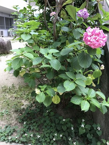 RoCoCo再開準備です★_f0223914_20335578.jpg