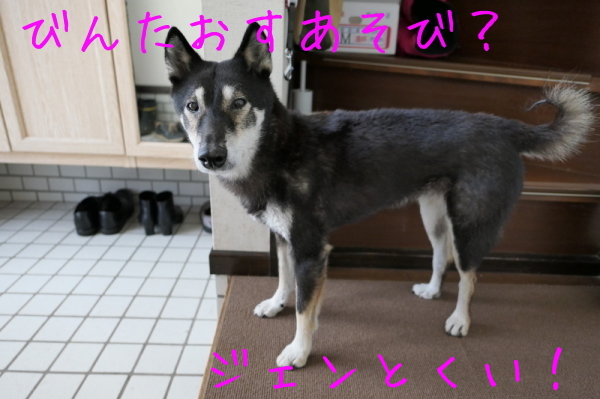 2020梅シロップ_f0369014_16034335.jpg