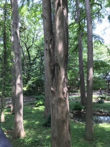 臨時休業日ブログ②_e0195325_19183281.jpeg