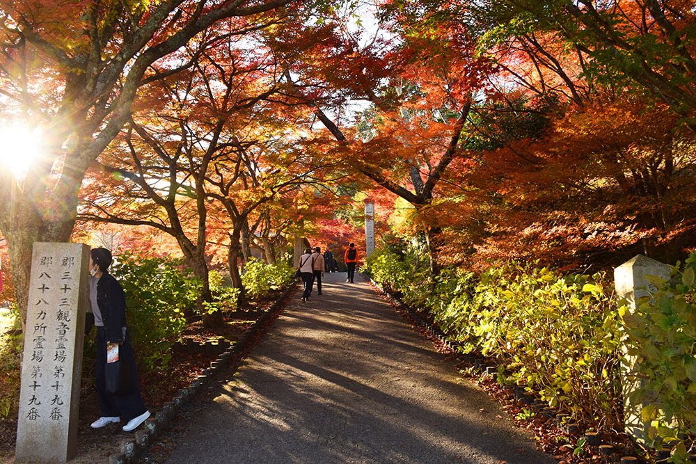 丹波紅葉三山めぐり　～円通寺～_e0158128_14250680.jpg