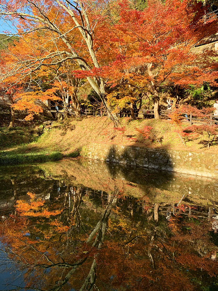 丹波紅葉三山めぐり　～円通寺～_e0158128_14412580.jpg