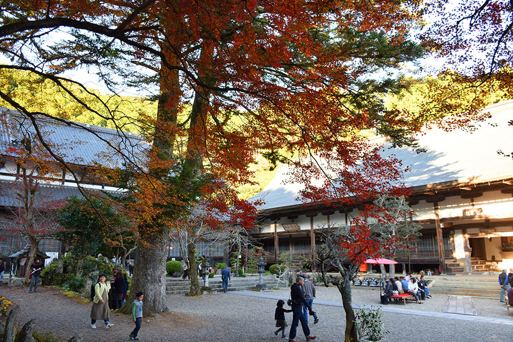 丹波紅葉三山めぐり　～円通寺～_e0158128_14544665.jpg