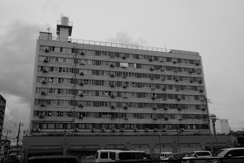 曇天マスク　７_e0374932_05362233.jpg