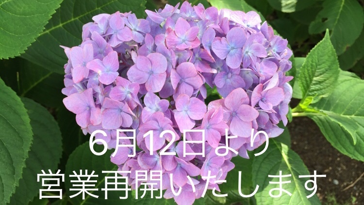 6月12日(金)より店舗営業再開いたします。_d0108933_22392845.jpg