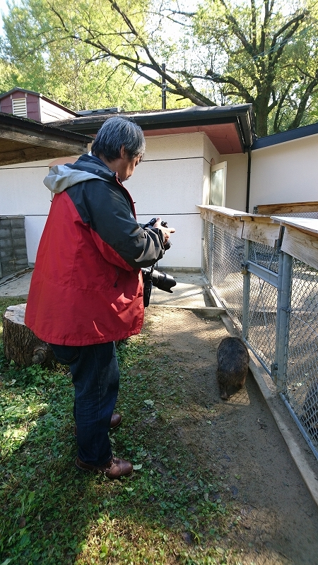 池田市 ウォンバット 写真展_f0050534_22445315.jpg