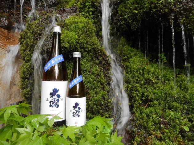 三蔵夏酒揃いました!_b0140235_16543614.jpg