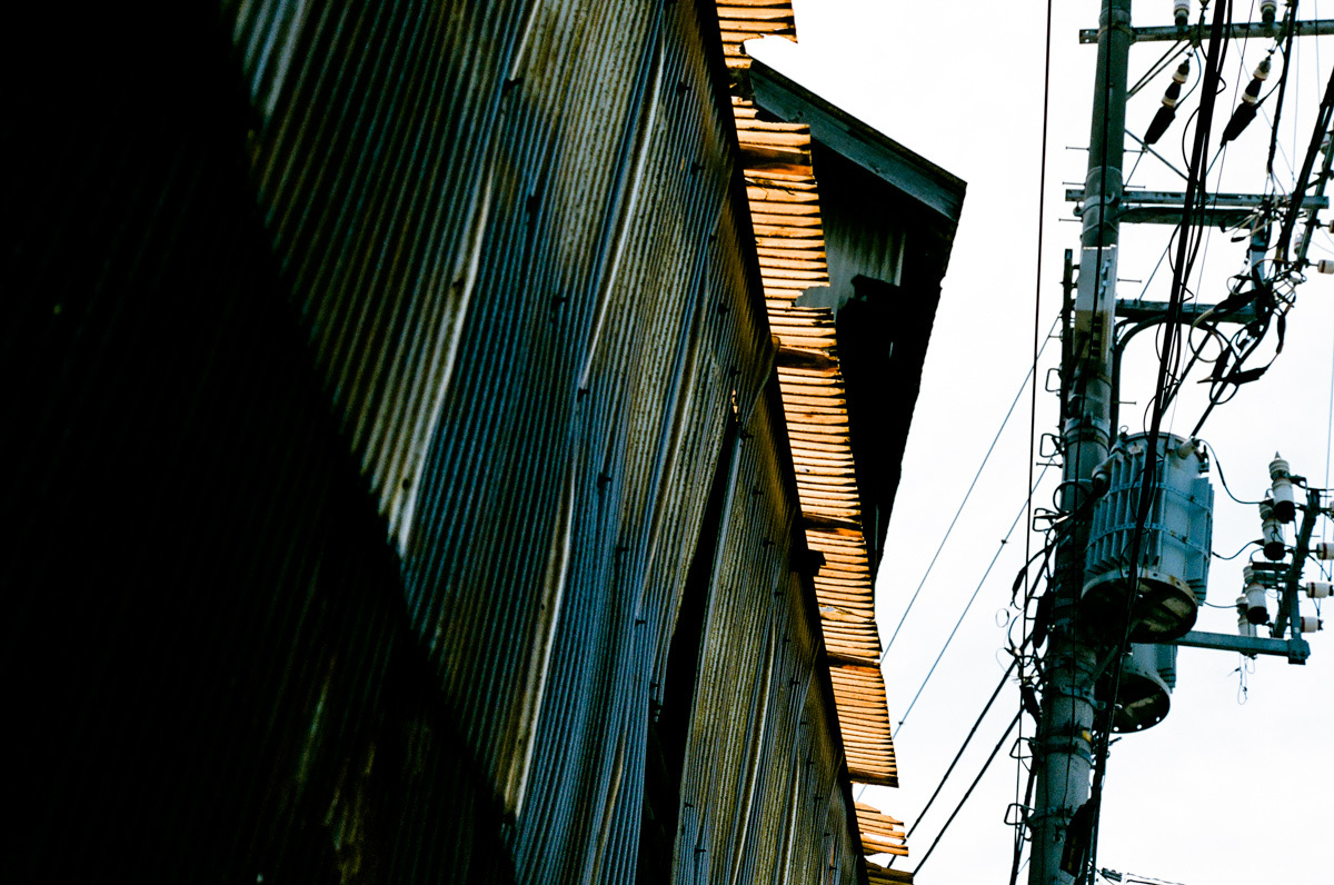 Alive Again~Ⅹ_c0084666_16133388.jpg