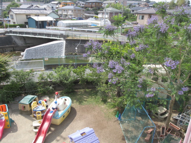 お花見しませんか?_b0233868_14315057.jpg