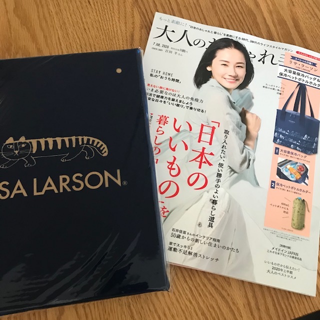 付録に釣られて買った雑誌_f0204295_16395615.jpg