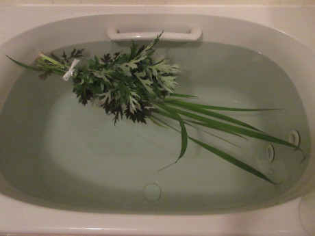ひと月遅れで菖蒲湯・花たちなど_a0203003_10450751.jpg