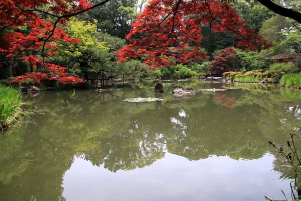 平安神宮 神苑の花菖蒲など_e0048413_20254958.jpg