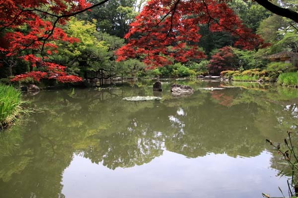 平安神宮　神苑の花菖蒲など_e0048413_20254958.jpg