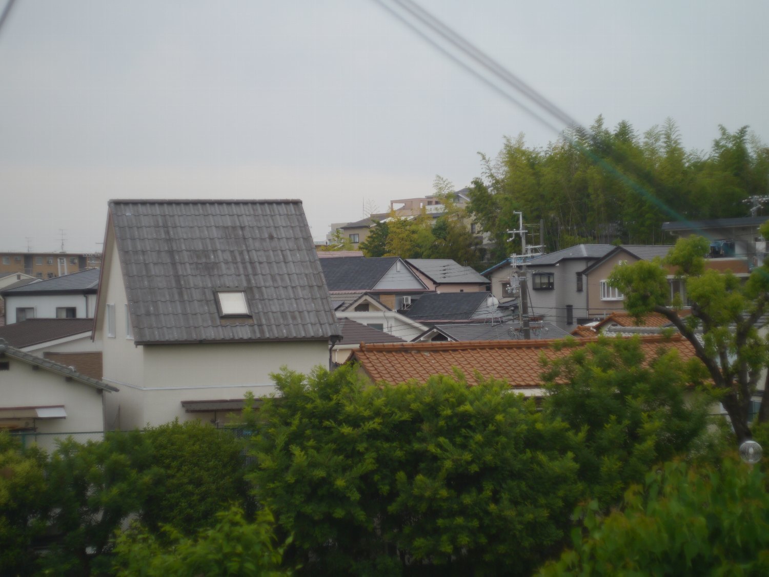 オリンパス F. Zuiko Auto-S 38mm F1.8 で_b0069128_21283640.jpg