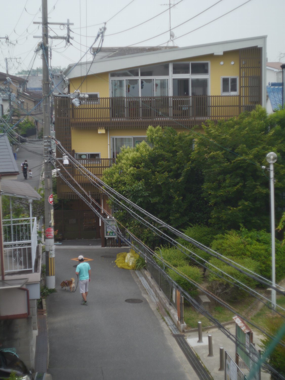オリンパス F. Zuiko Auto-S 38mm F1.8 で_b0069128_21295210.jpg