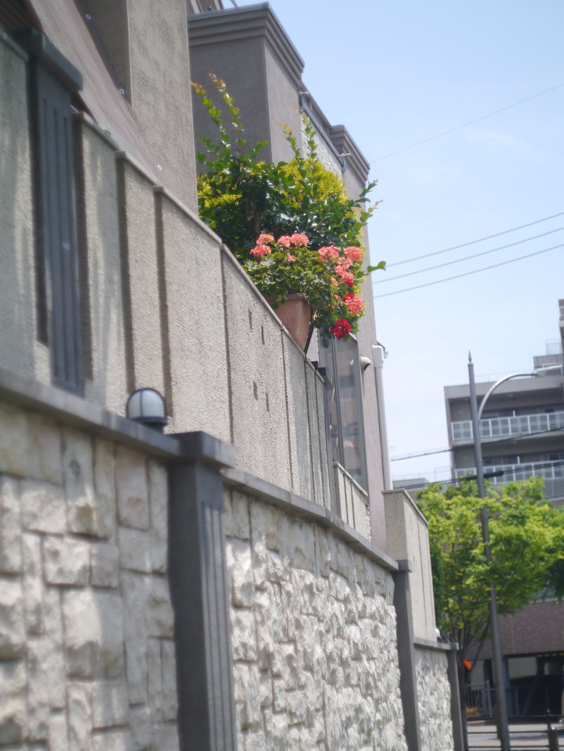 オリンパス F. Zuiko Auto-S 38mm F1.8 で_b0069128_21345298.jpg