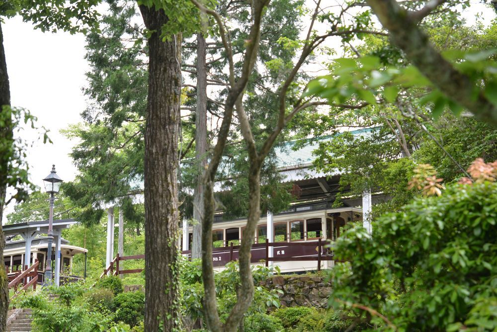 品川燈台電停の青もみじ_e0373930_20000597.jpg