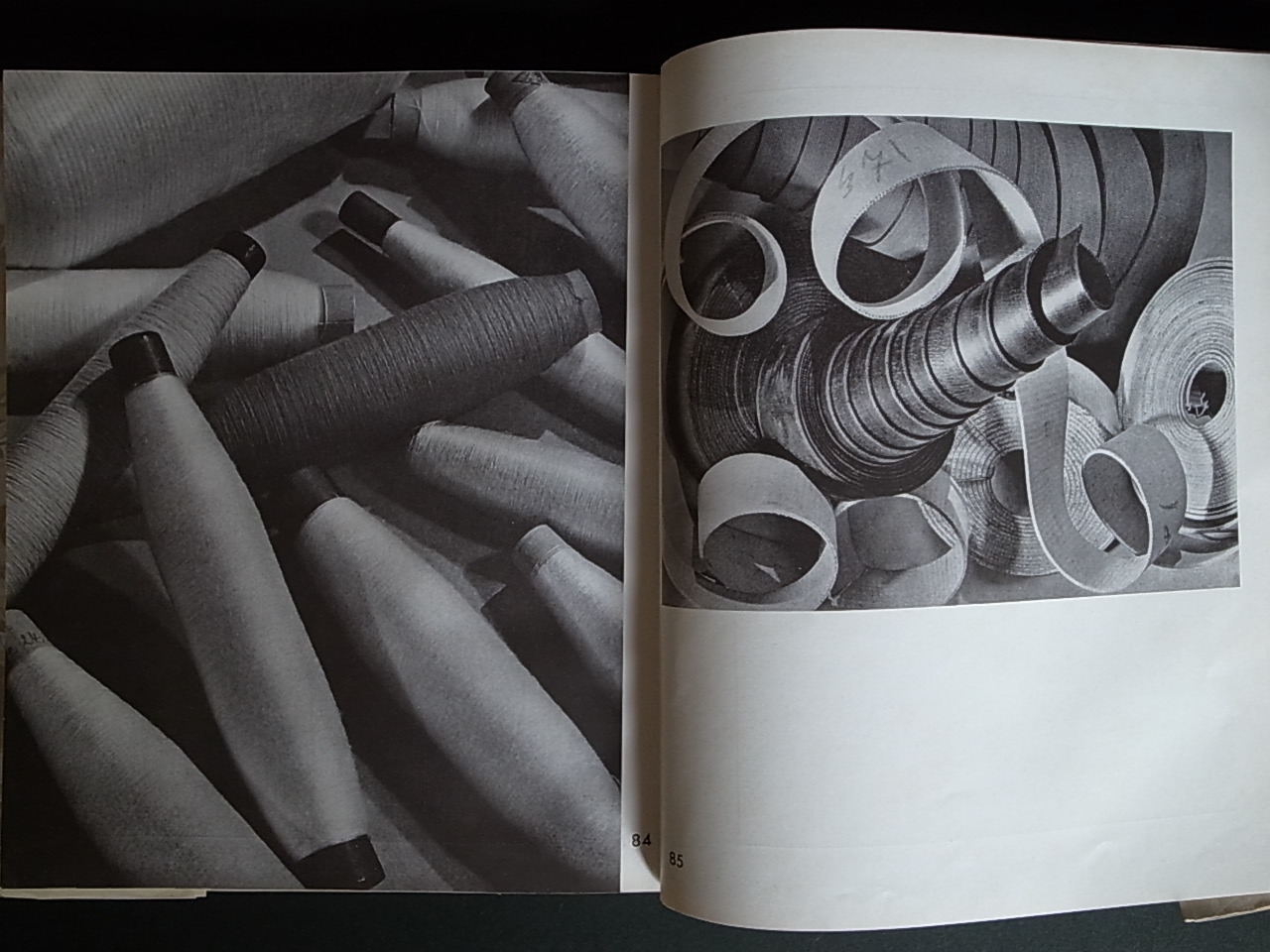 パウル・ヴオルフ傑作写真集 / 井上鍾 : Books & Things