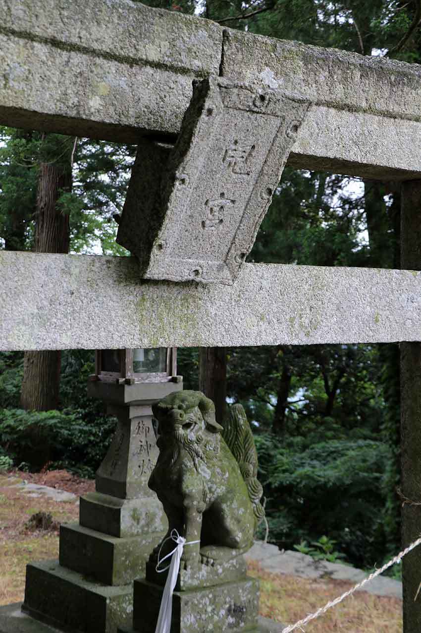 徳島県美馬郡つるぎ町貞光字 家賀 藍畑 と 阿波木偶箱まわし 1 すえドンのフォト日記
