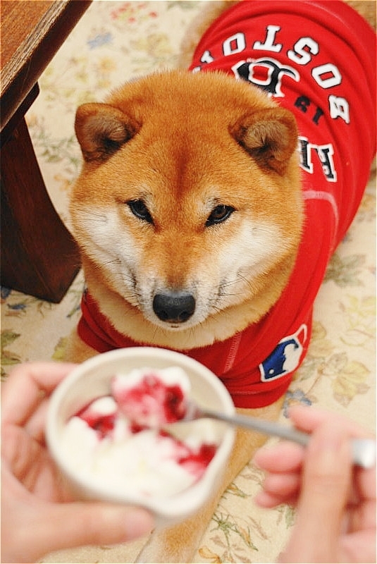 十年一昔 某日②_b0314043_09271458.jpg