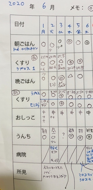 プチコのこと_1　#猫 慢性腎臓病_e0026053_15145608.jpeg